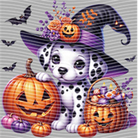 Halloween-WS 5821